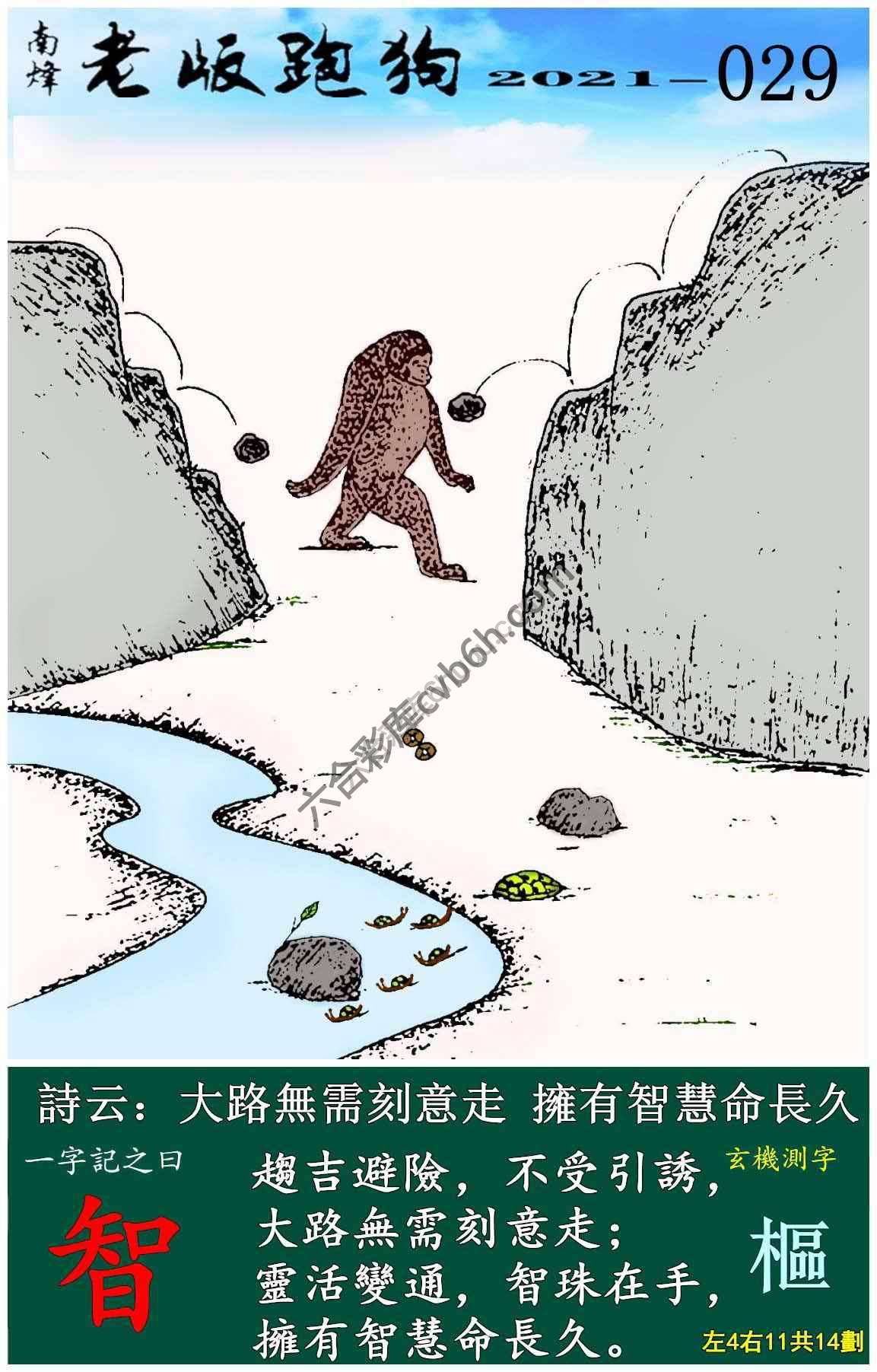 老版跑狗图