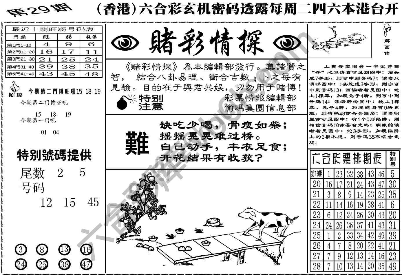 赌彩情探