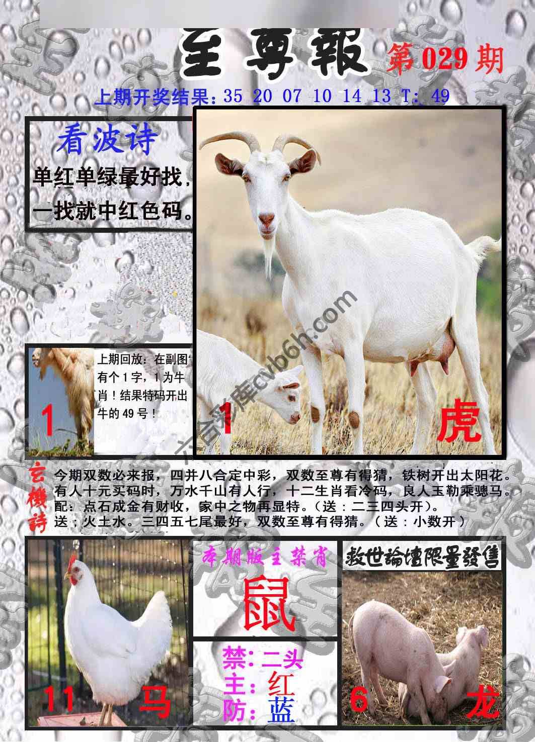 至尊报
