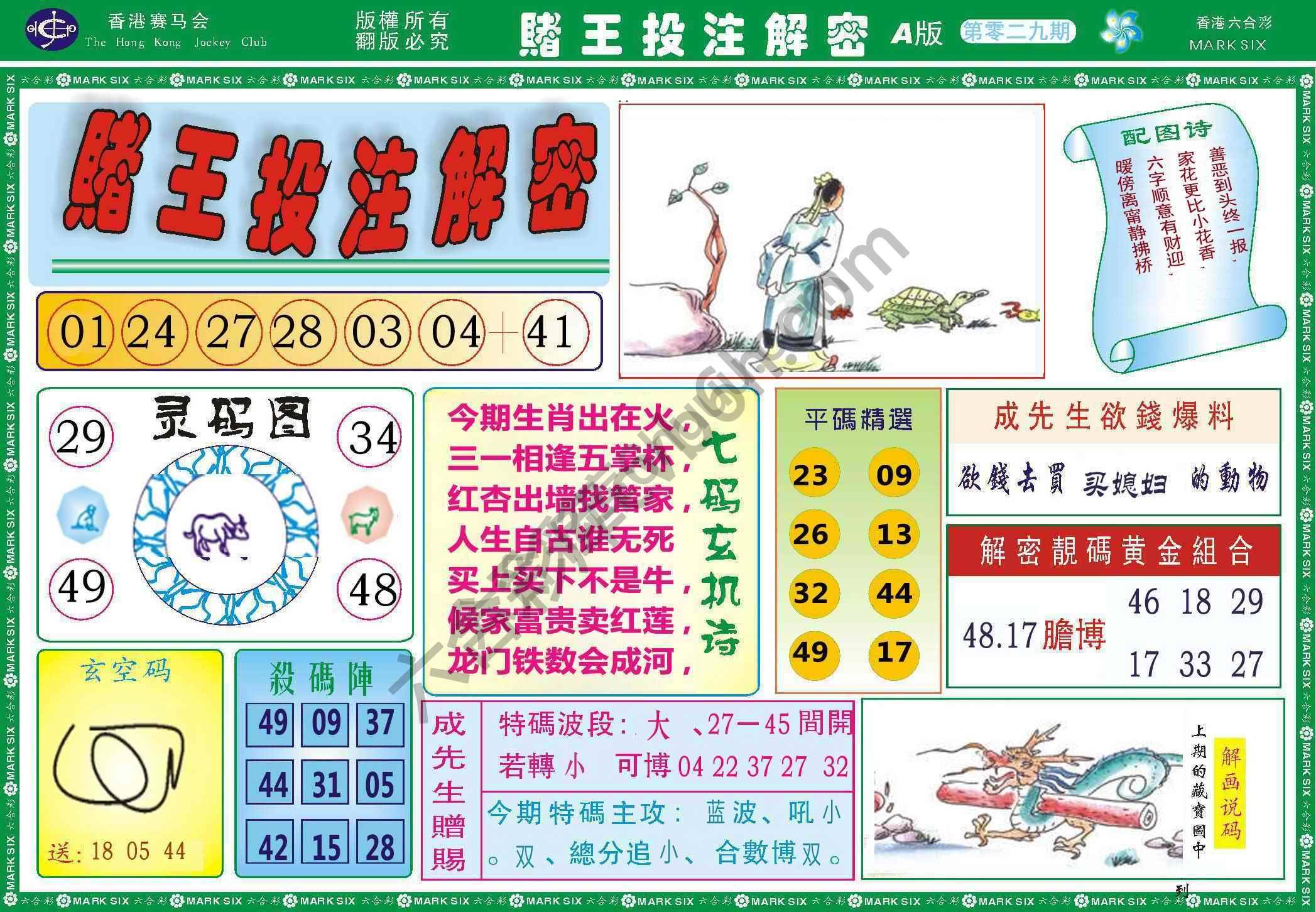 赌王投注解密