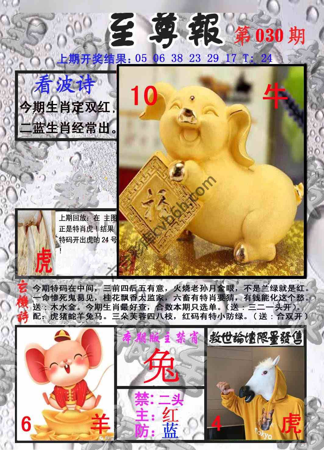 至尊报