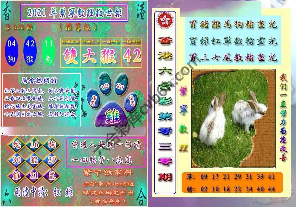 数理救世报