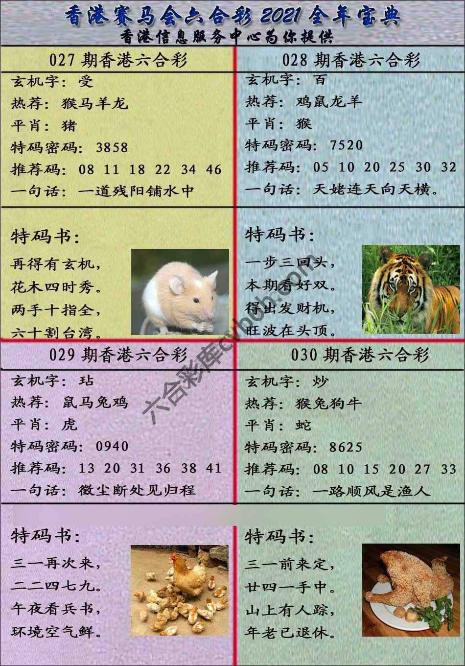 宝典报