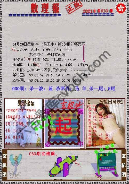 数理报