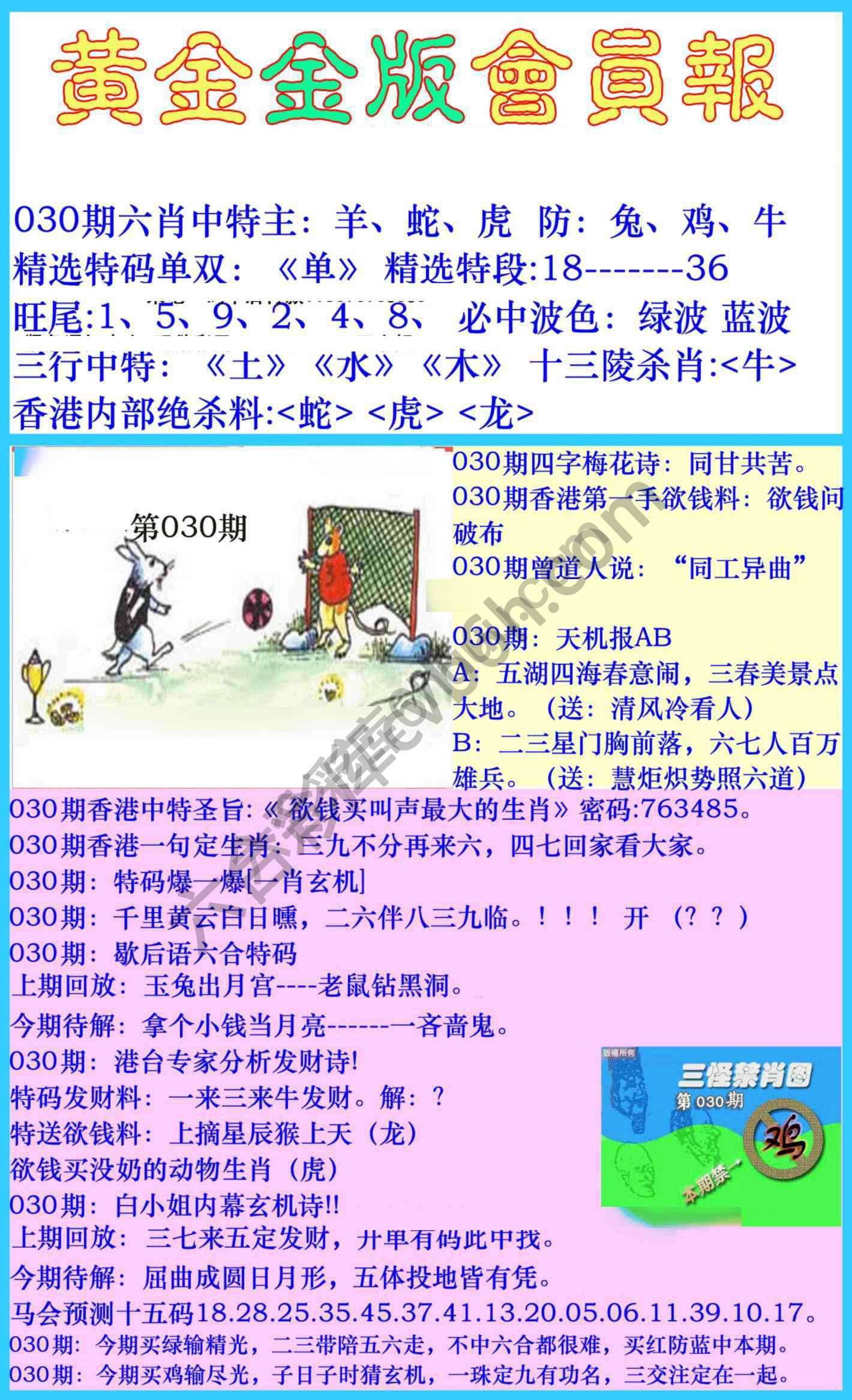 黄金金版会员报