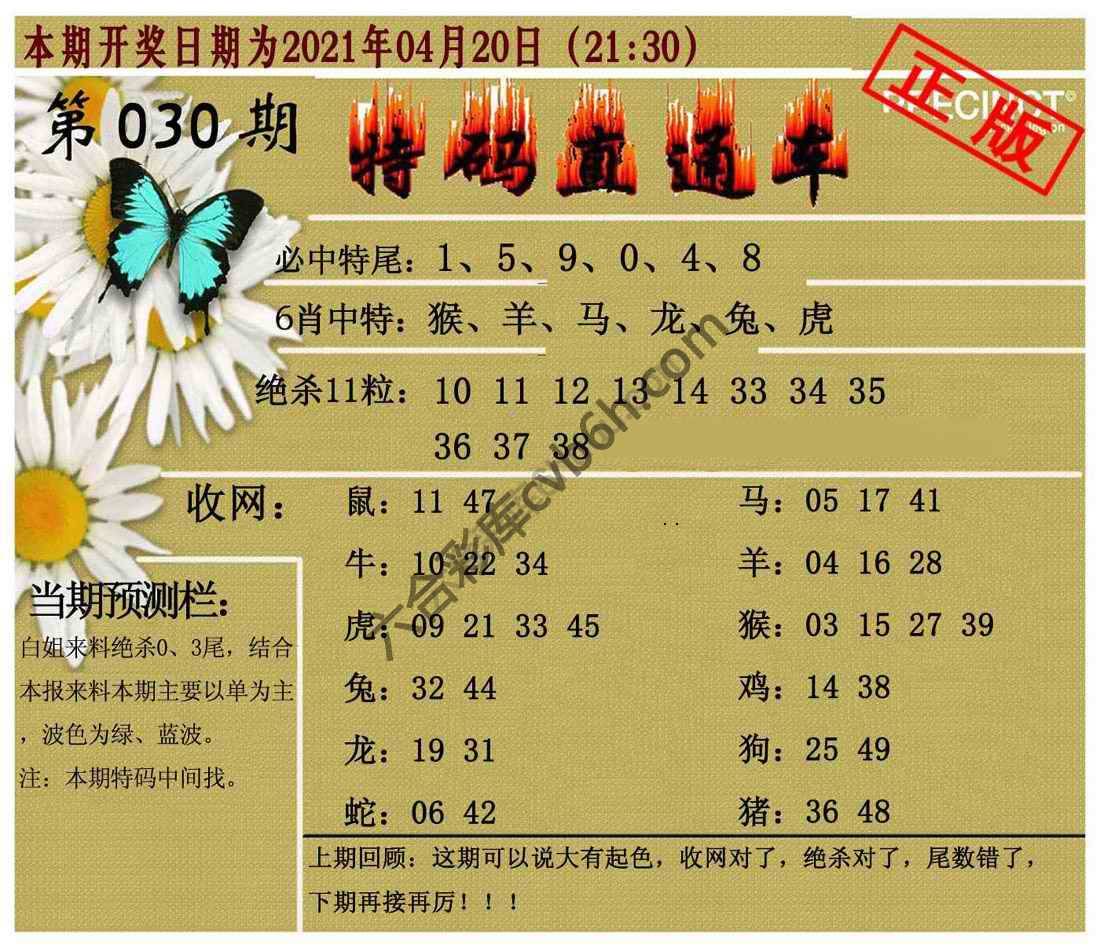 特码直通车