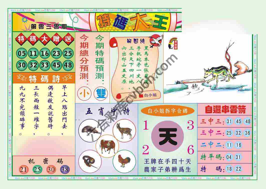 特码大王