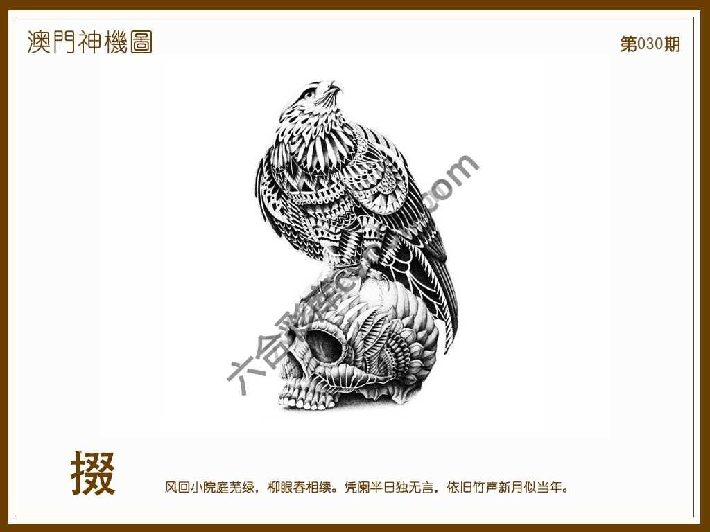 澳门神机图