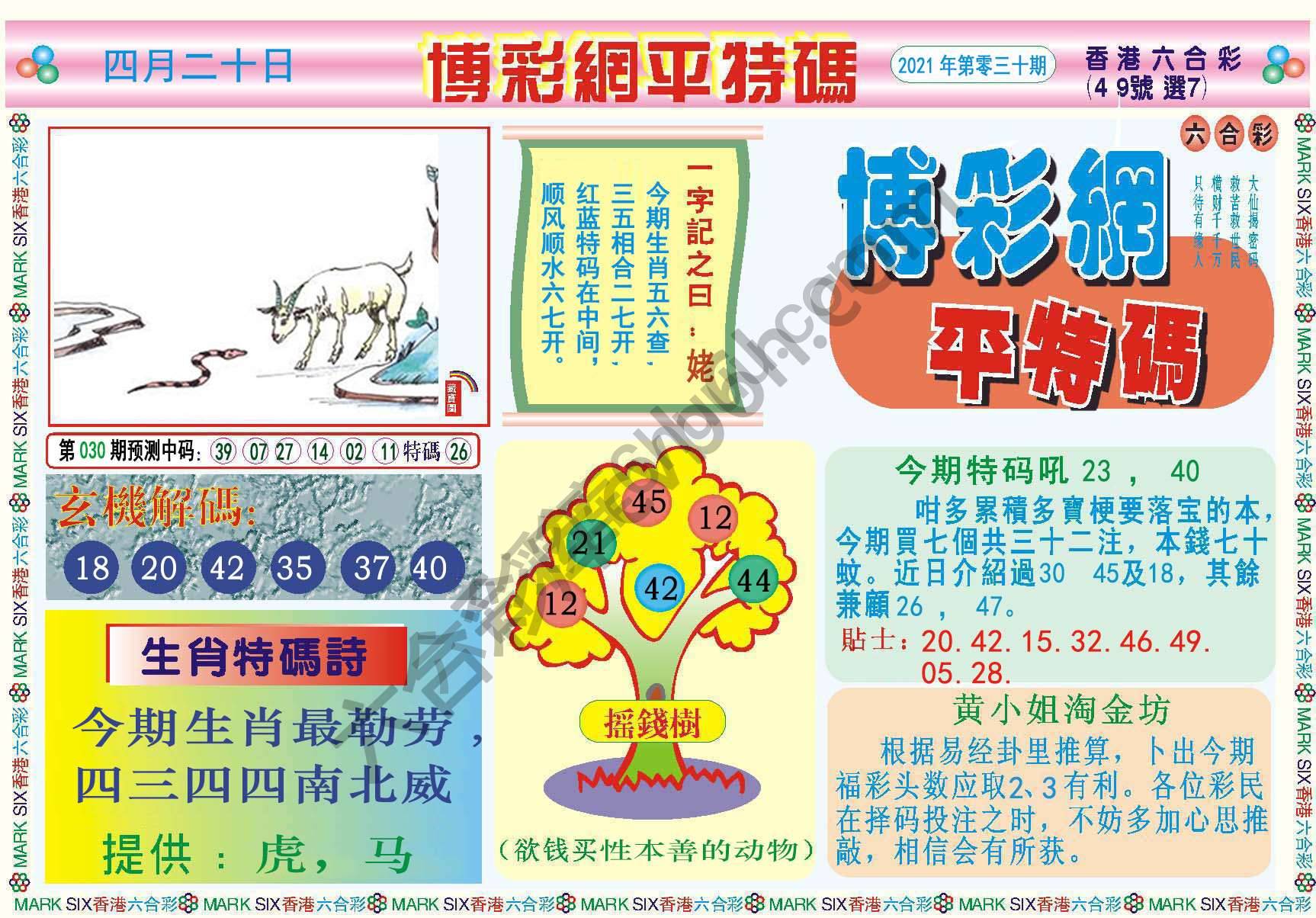 博彩网平特码