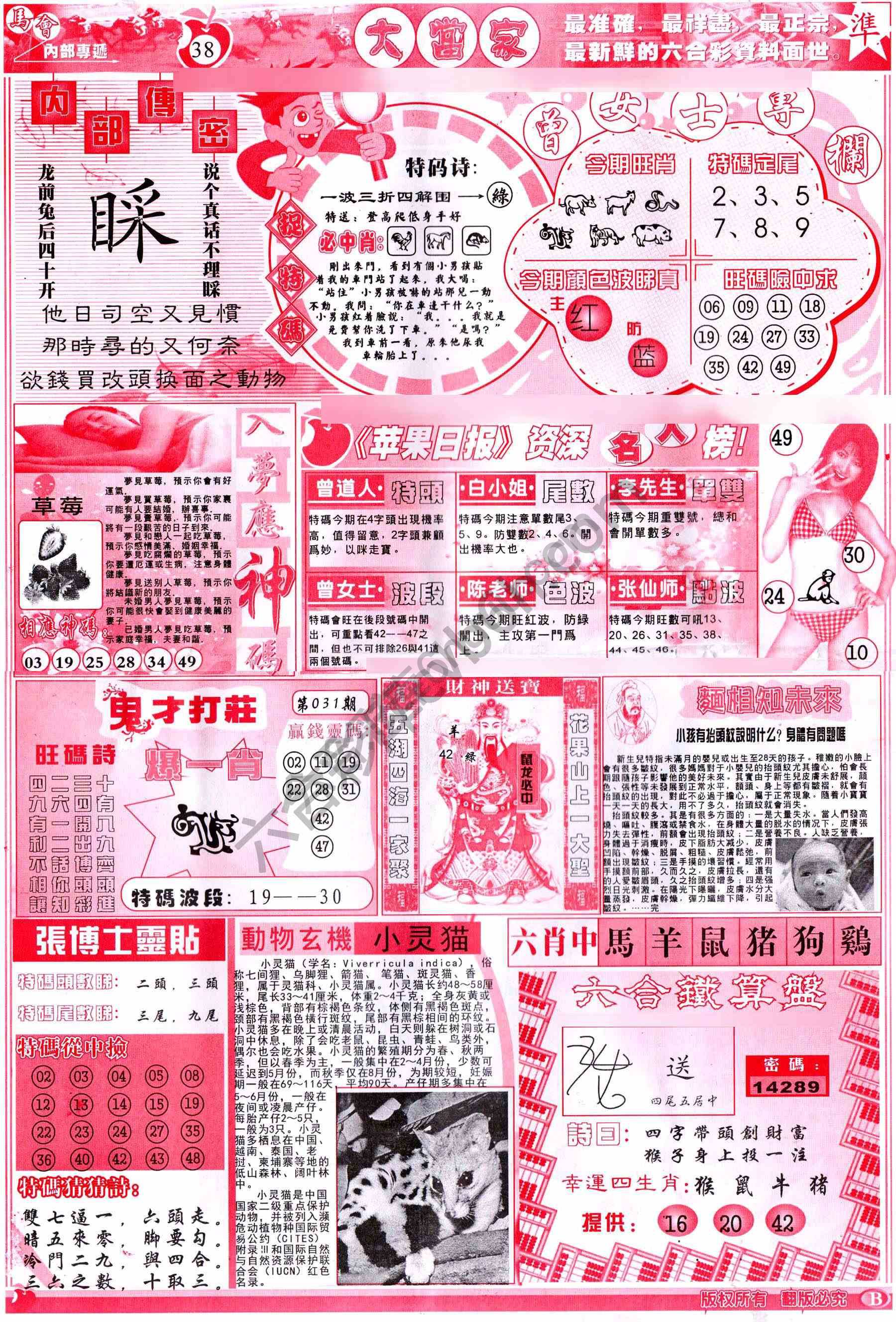 大当家