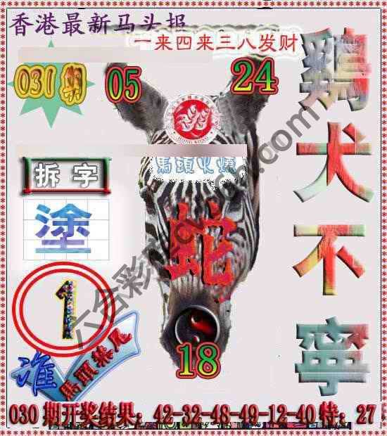 香港马头报