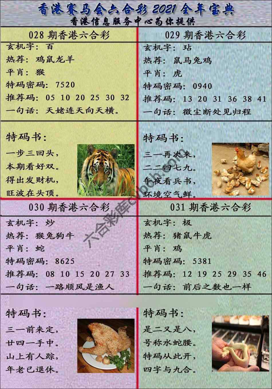 宝典报