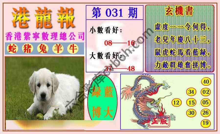 港龙报