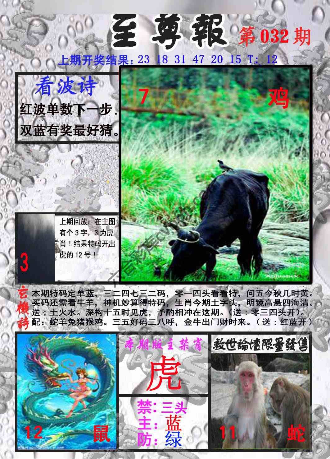 至尊报