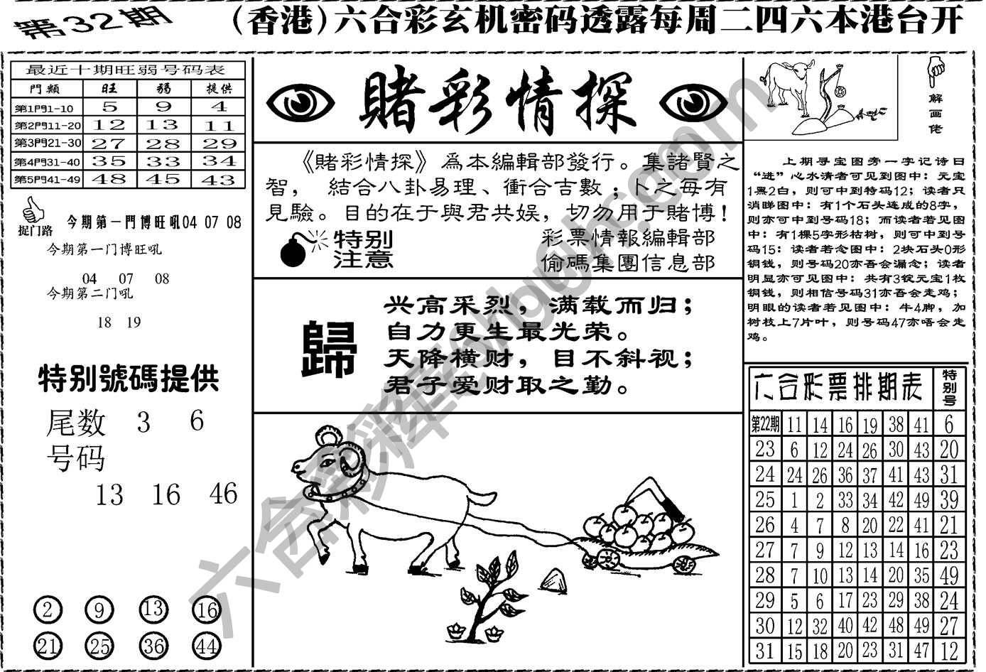 赌彩情探