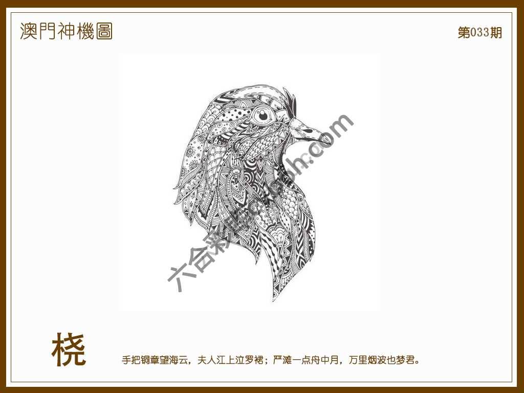 澳门神机图