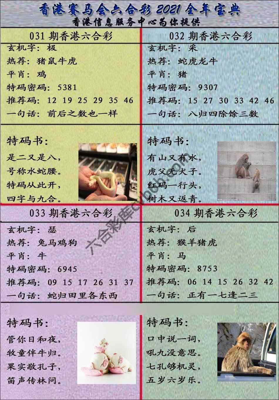 宝典报