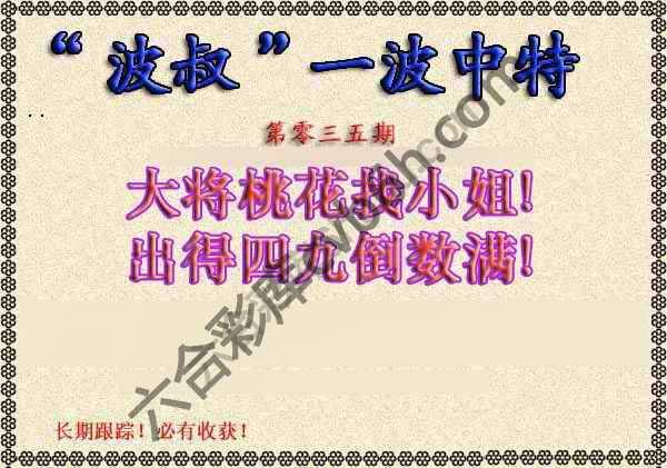 波叔一波中特