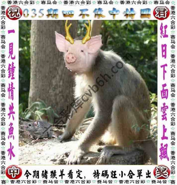 四不像中特图