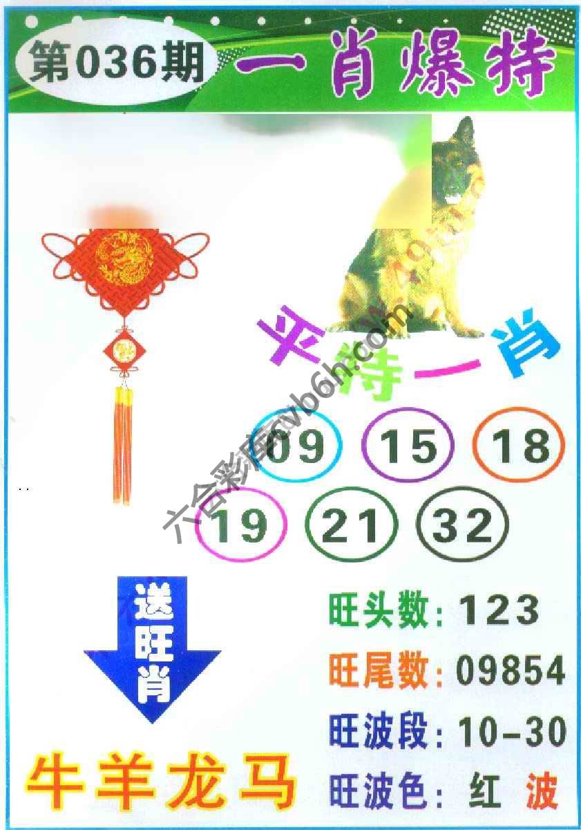 一肖爆特（新版）