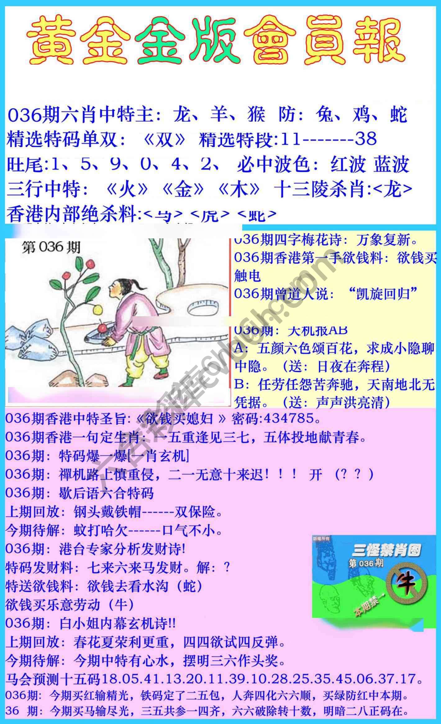 黄金金版会员报