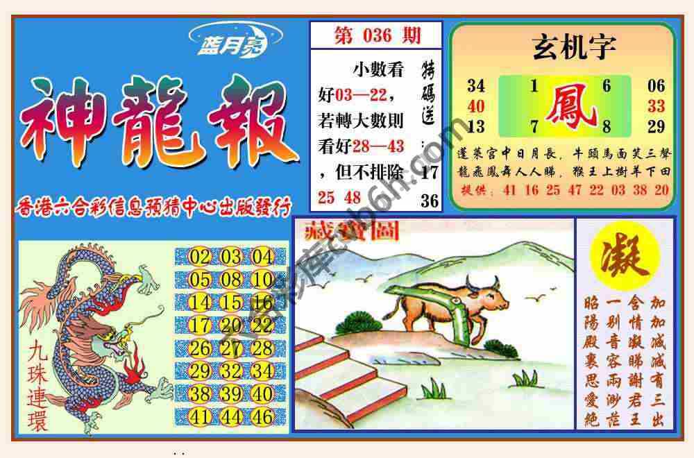 蓝月亮神龙报