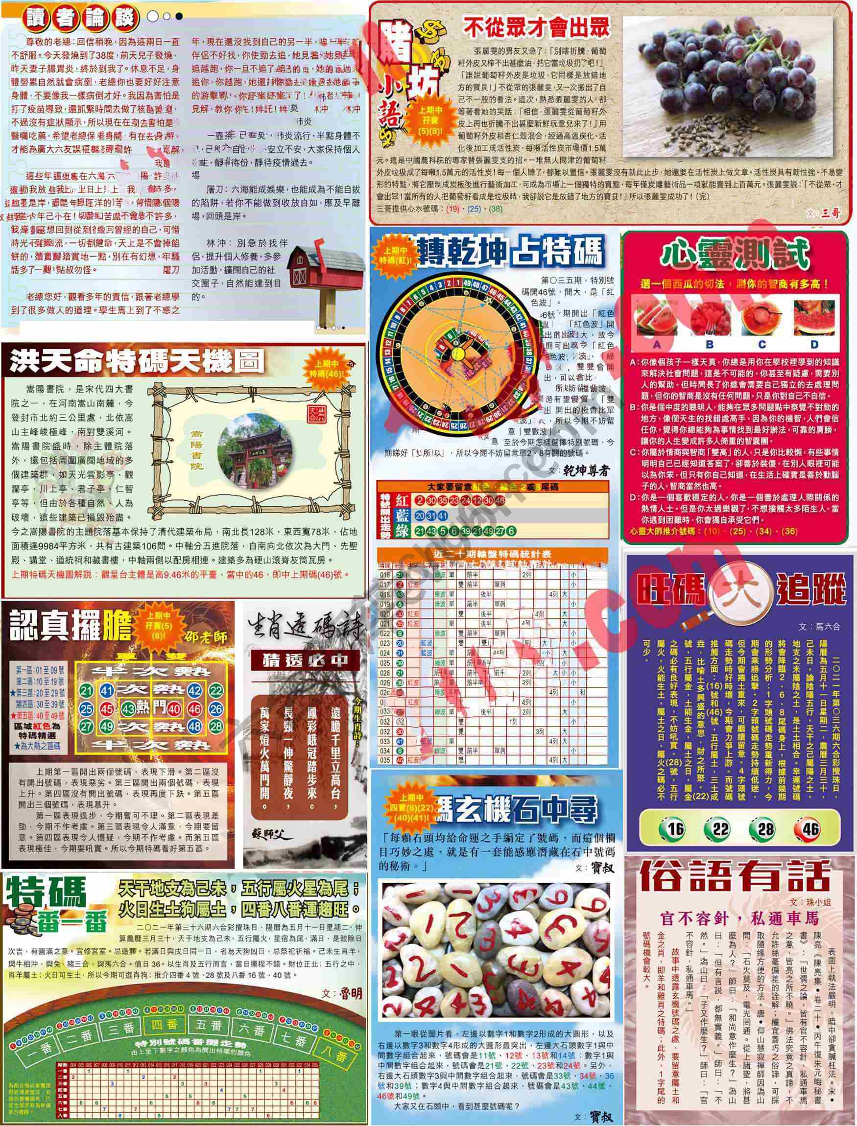 大版贴士皇