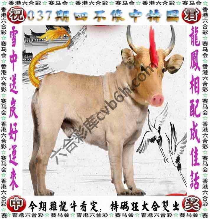四不像中特图