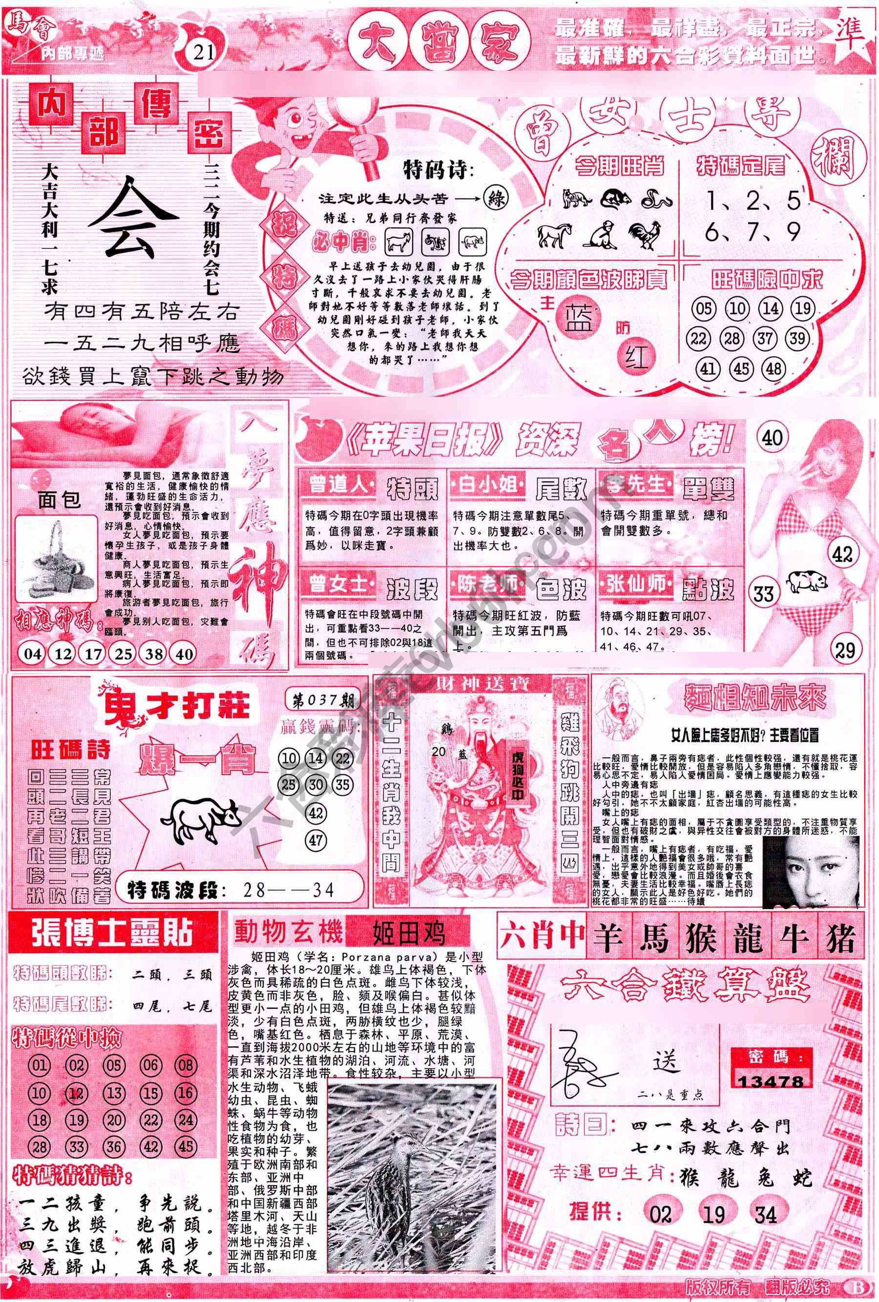 大当家
