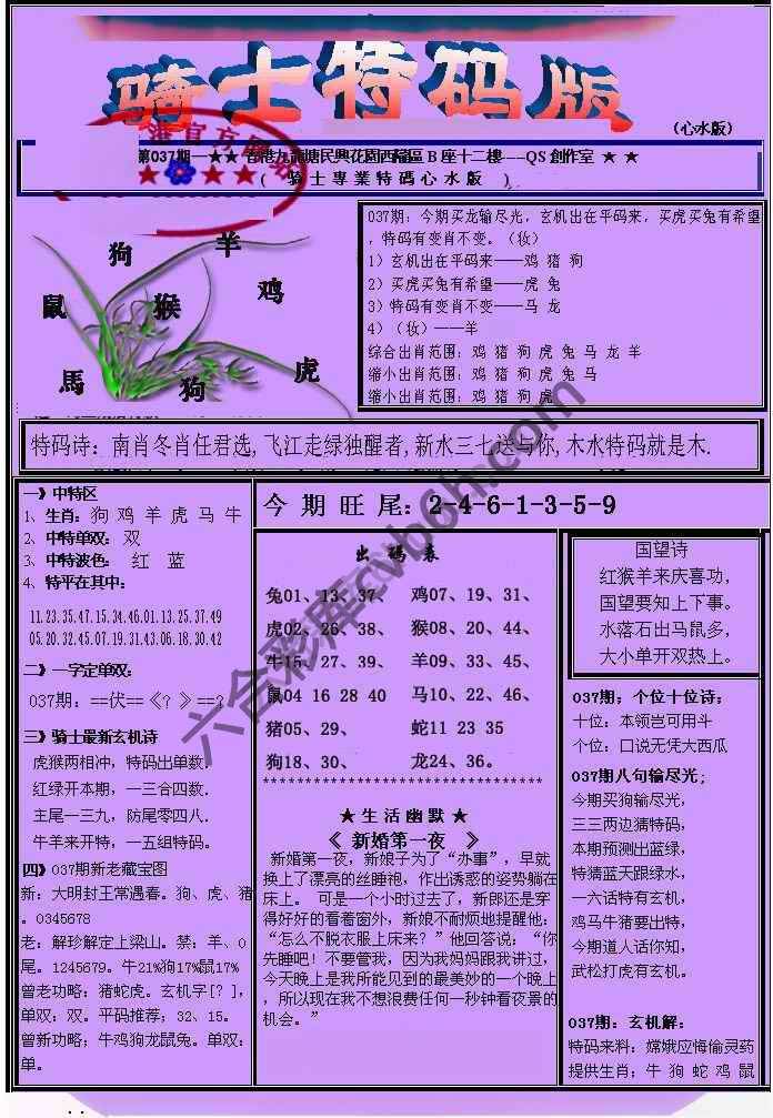 另类骑士特码版