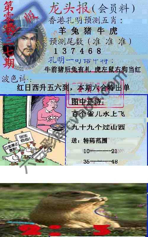 龙头报