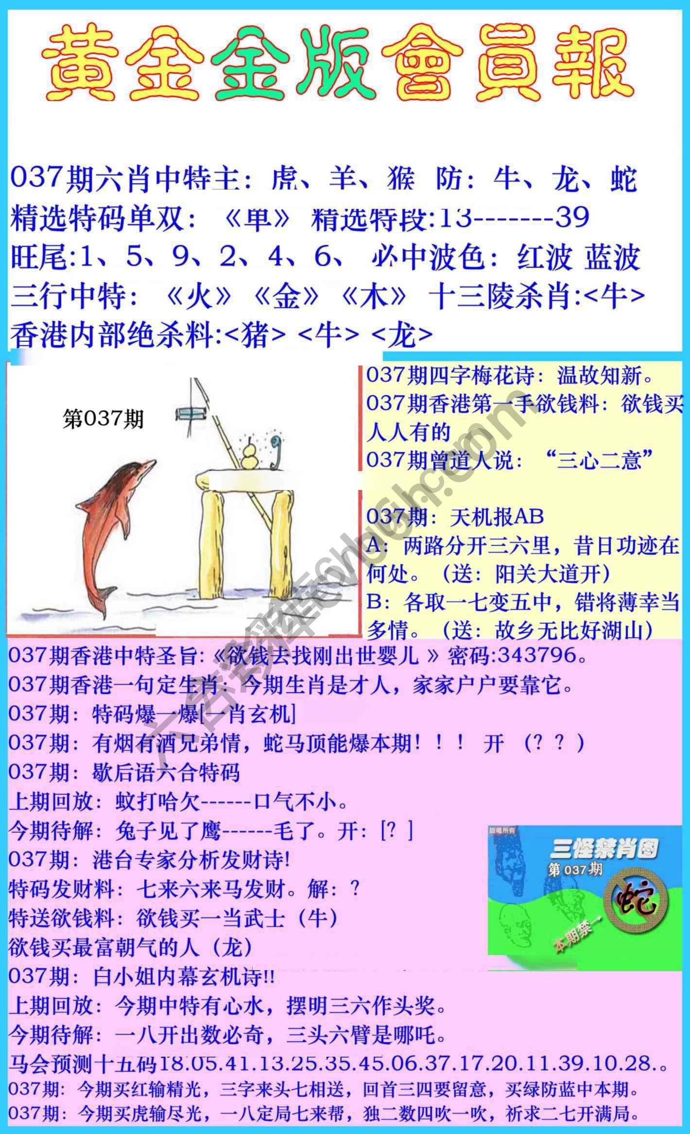 黄金金版会员报