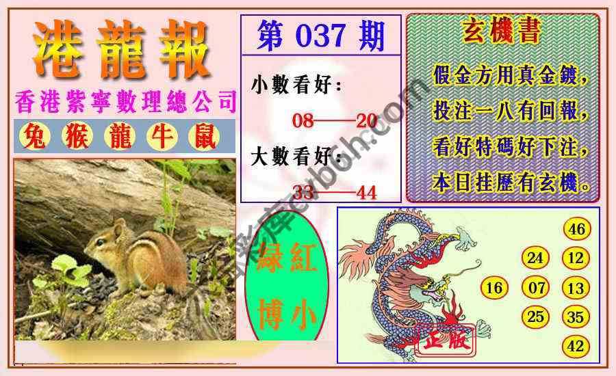 港龙报