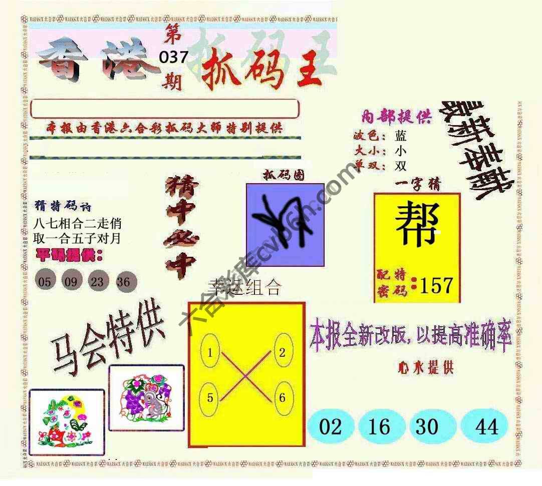 新抓码王