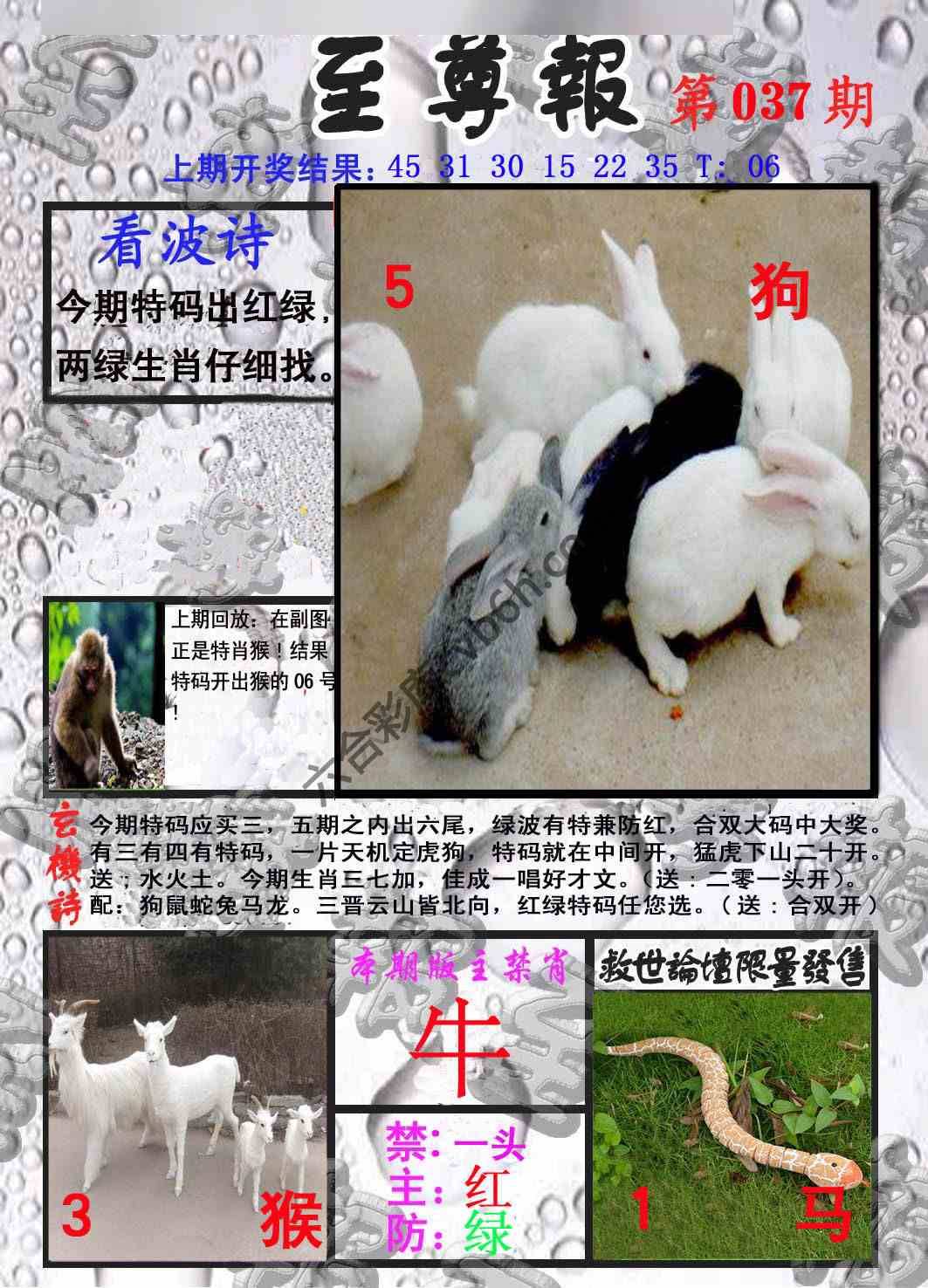 至尊报