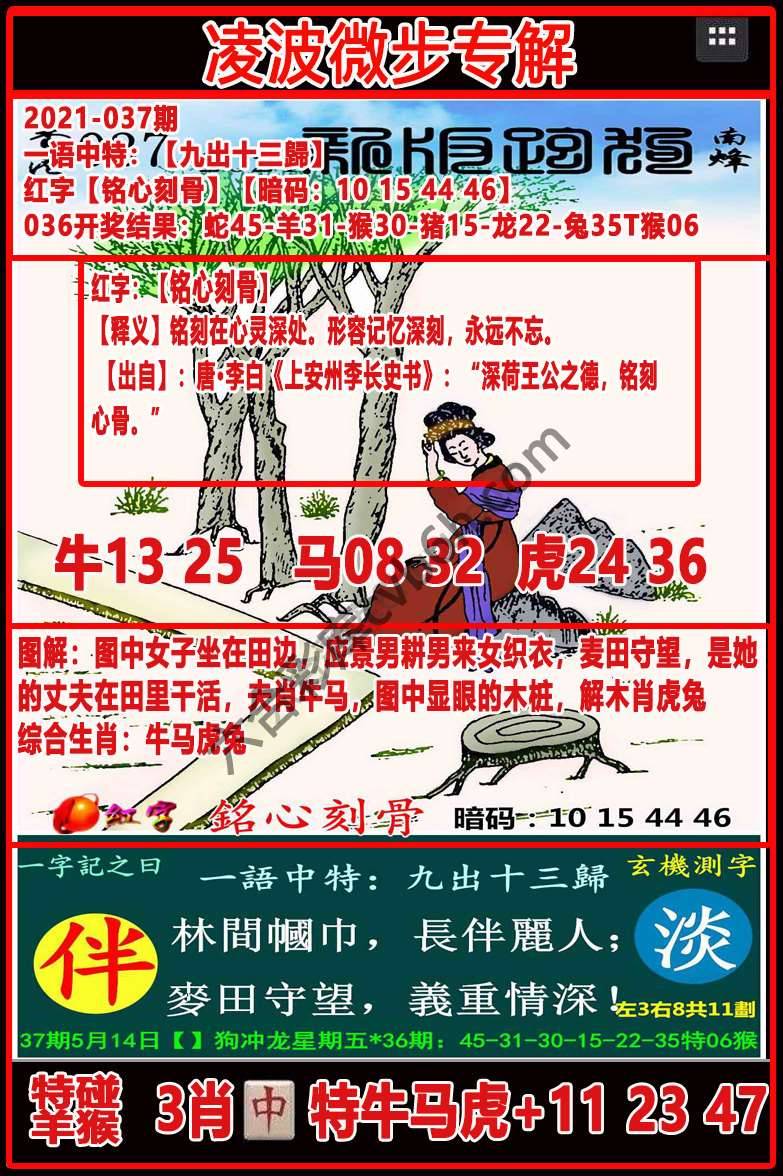 凌波微步解跑狗