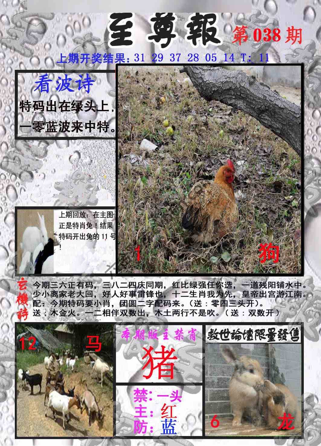至尊报