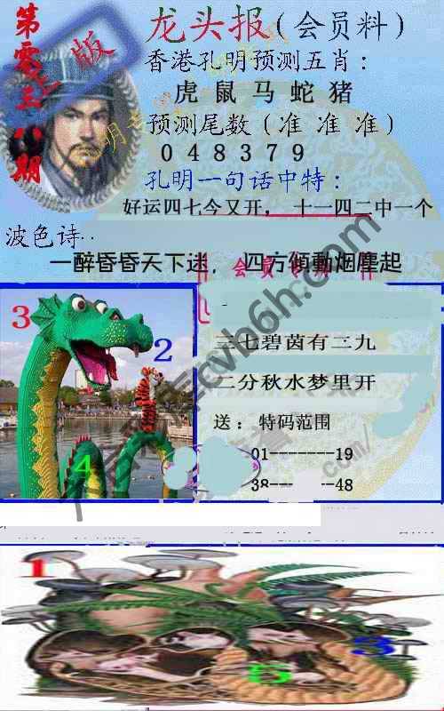 龙头报