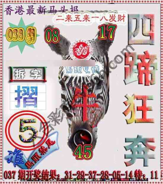 香港马头报