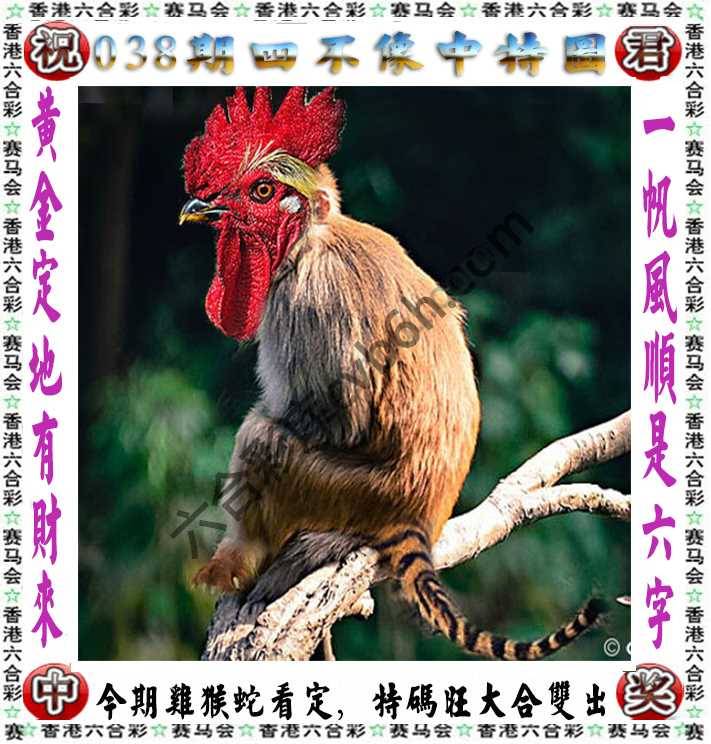 四不像中特图