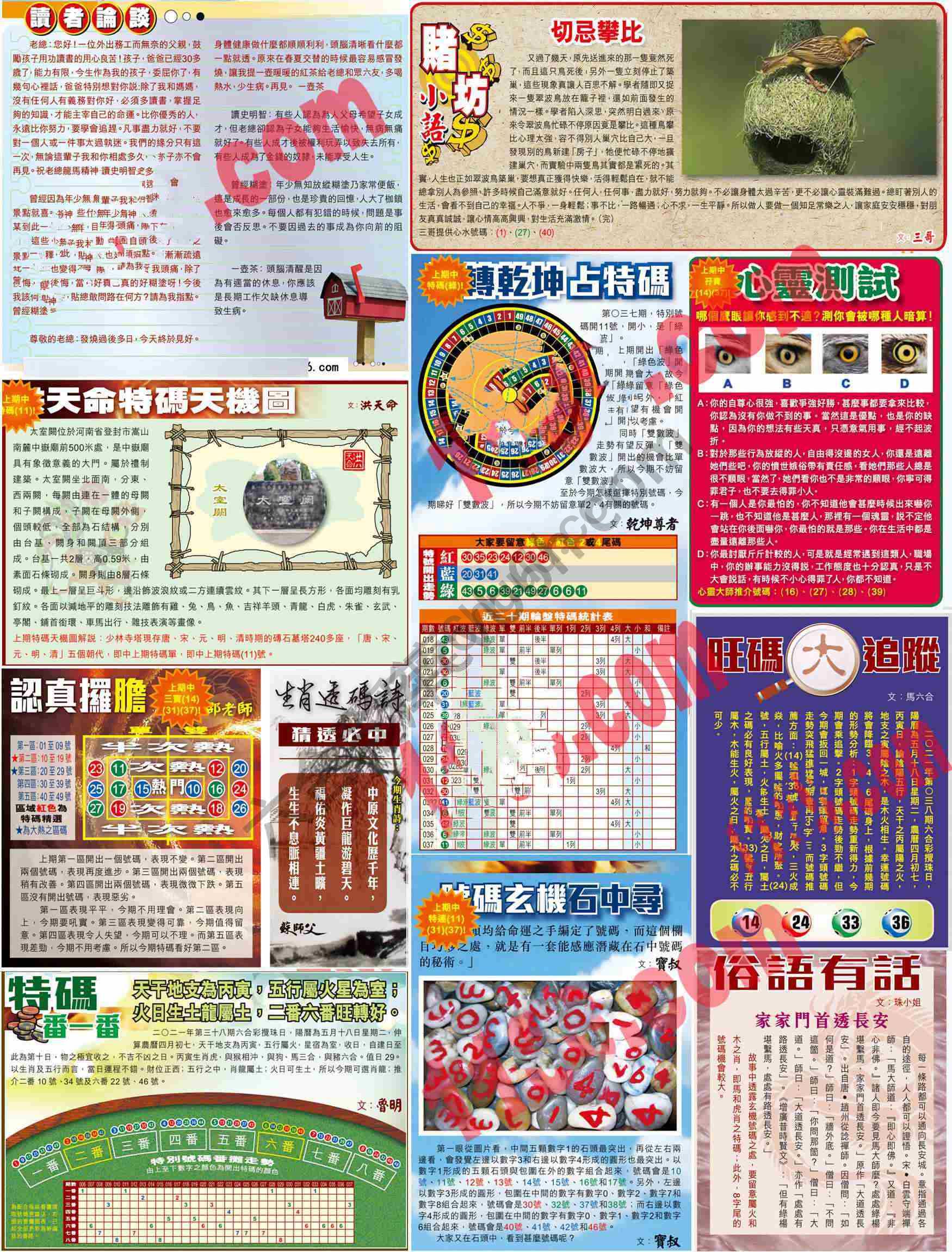 大版贴士皇
