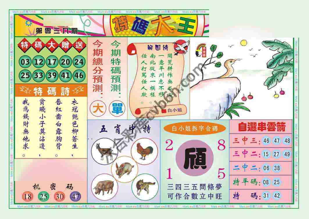 特码大王