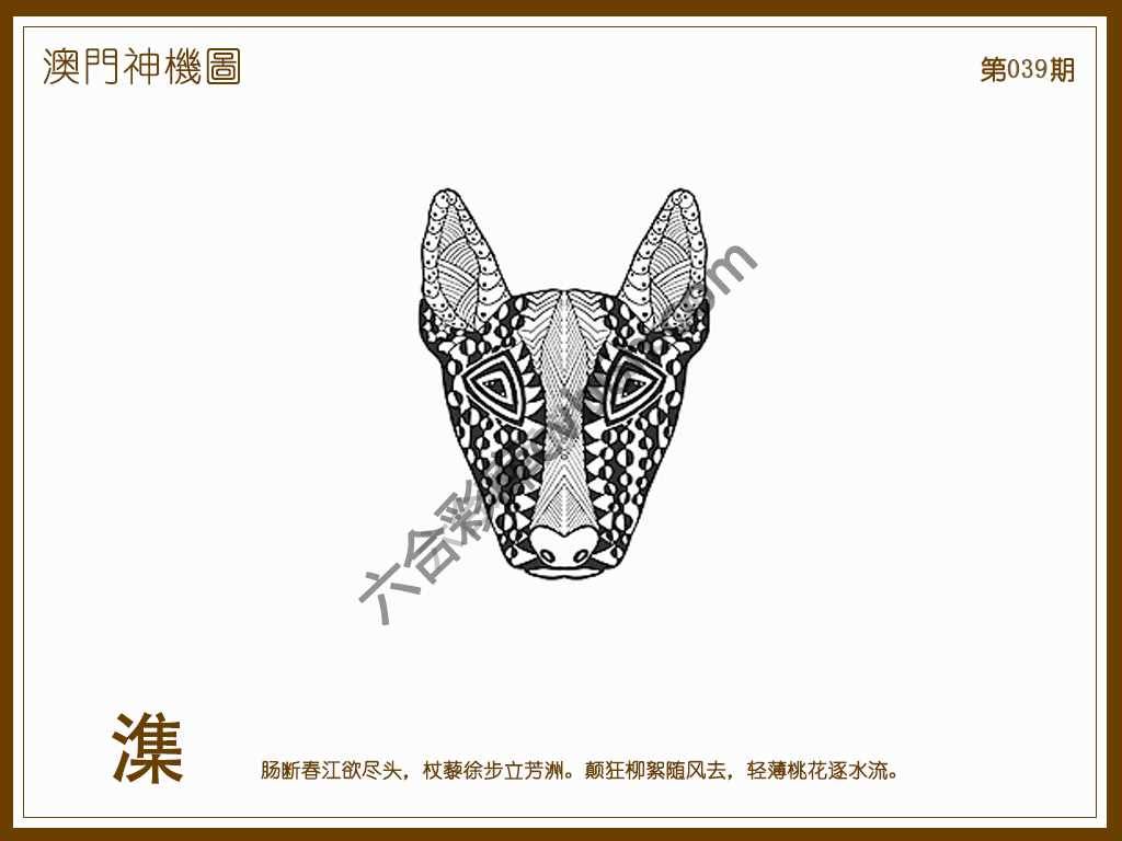 澳门神机图