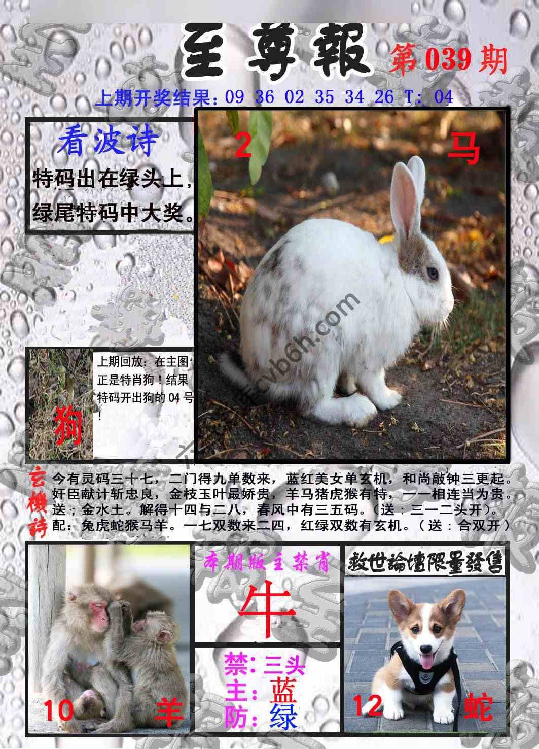 至尊报