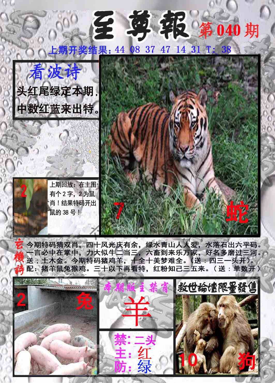 至尊报