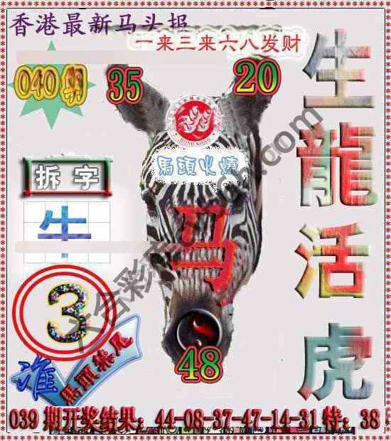 香港马头报