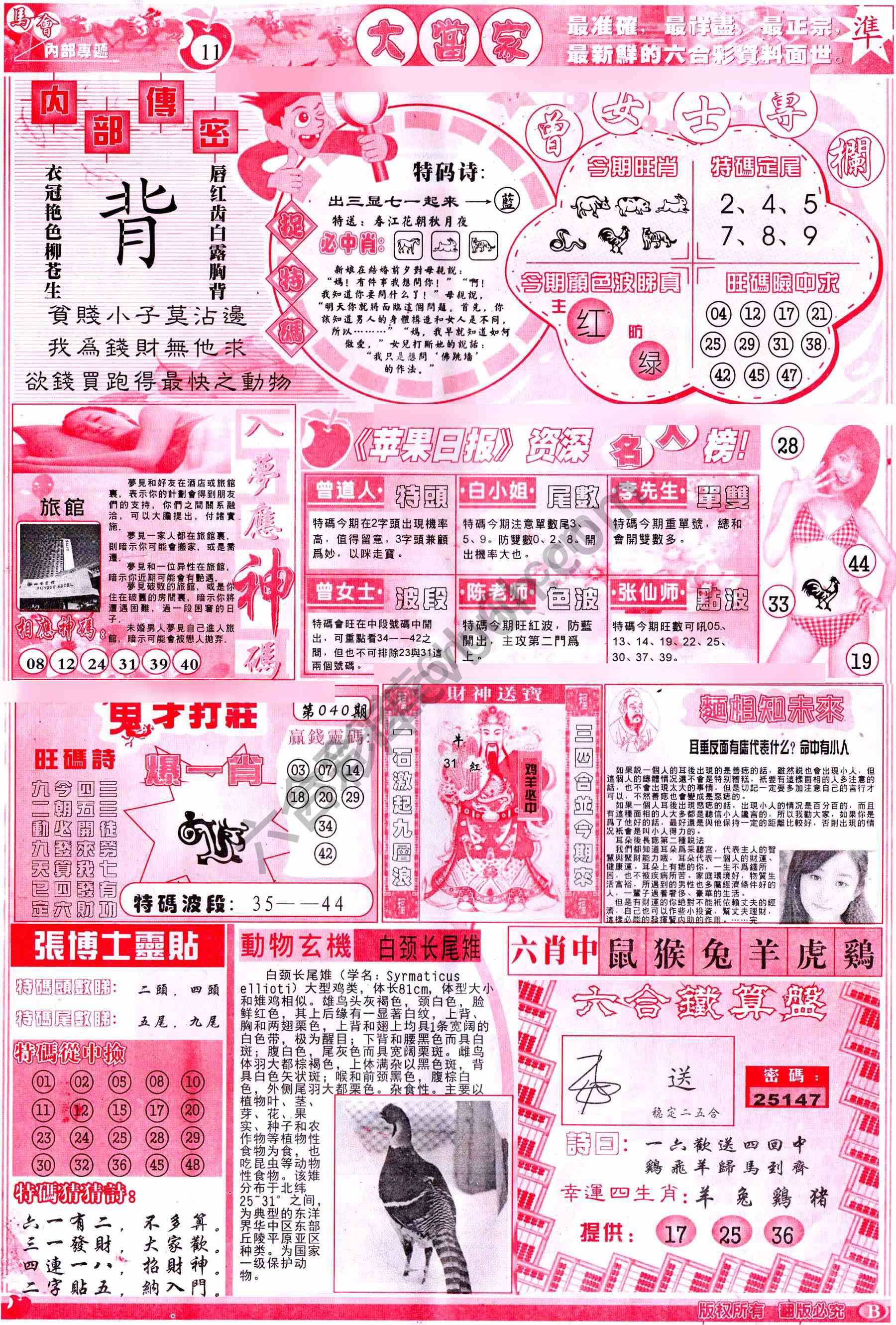 大当家