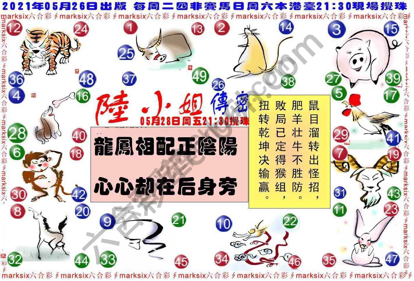 陆小姐传密