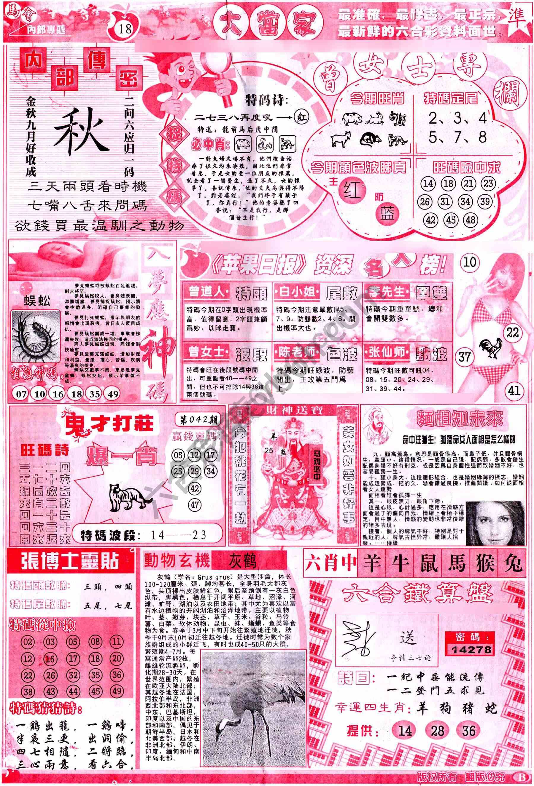 大当家