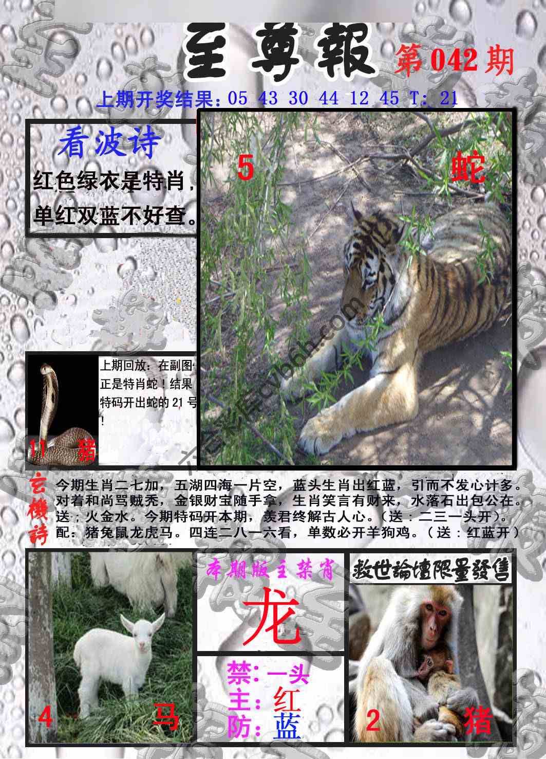 至尊报